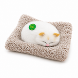 Cute Sleeping Cat That Sounds" Meowww"
